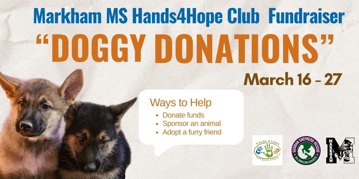 Markham Doggy Donations Fundraiser 1200x600.jpg